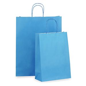 Blue Paper Carrier Bags with Twisted Handles