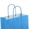 Blue Paper Carrier Bags with Twisted Handles