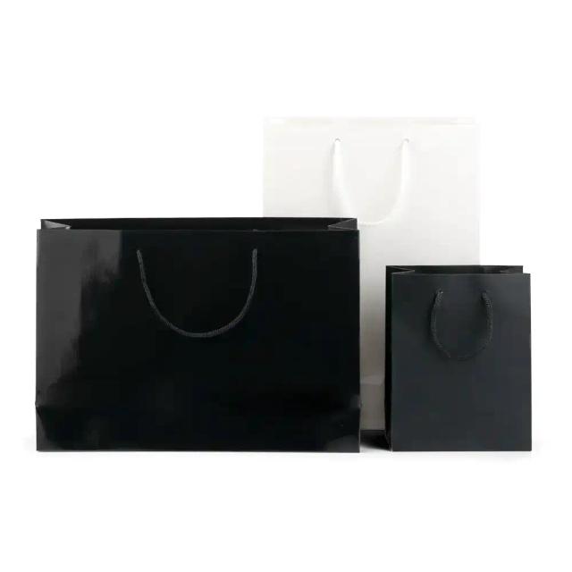 Boutique Laminated Paper Bags