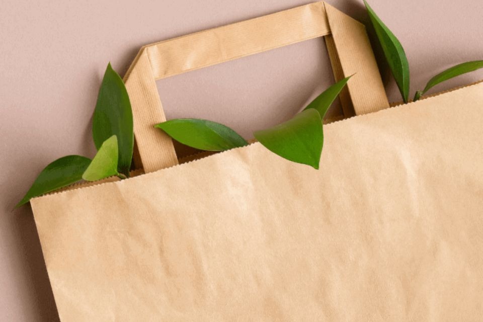 Eco Friendly benefits of paper bags